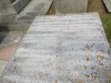 image of grave number 902104